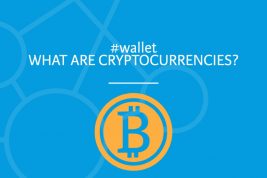 #wallet: HashtagWallet.com, domain name for sale