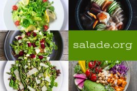 Salade.org, domain name for sale